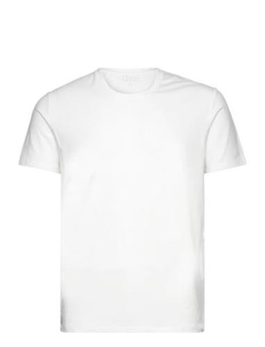 Bamboo Tee Tops T-Kortærmet Skjorte White Frank Dandy