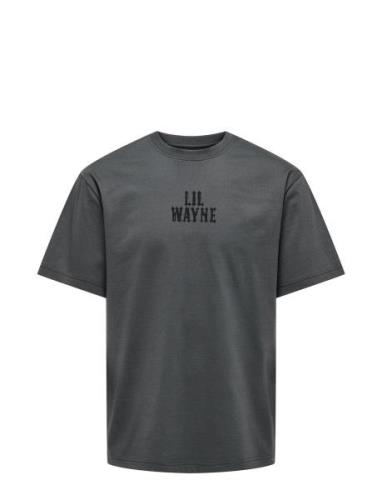 Onslilwayne Life Rlx Ss Tee Tops T-Kortærmet Skjorte Grey ONLY & SONS