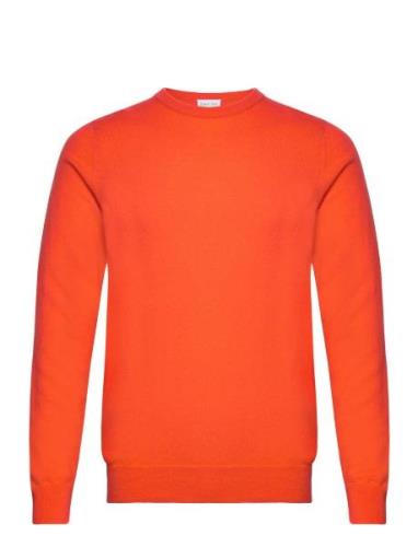 Man O-Neck Plain Designers Knitwear Round Necks Orange Davida Cashmere