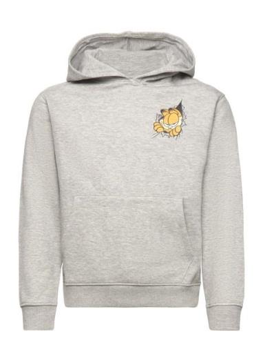 Garfield Cotton Sweatshirt Tops Sweatshirts & Hoodies Hoodies Grey Man...