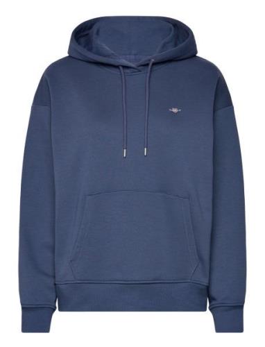 Rel Shield Hoodie Tops Sweatshirts & Hoodies Hoodies Blue GANT