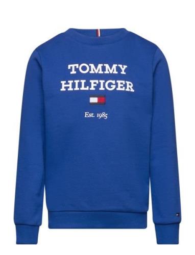 Th Logo Sweatshirt Tops Sweatshirts & Hoodies Sweatshirts Blue Tommy H...