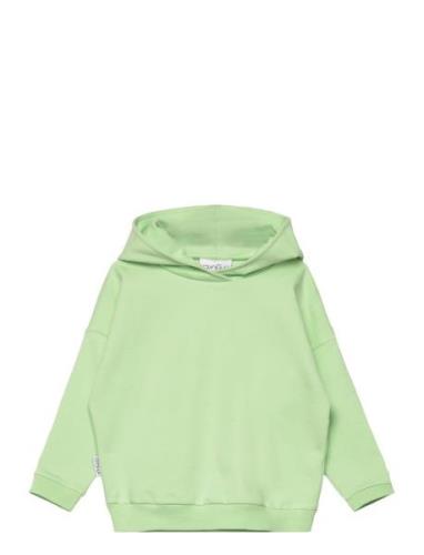 College Hoodie Tops Sweatshirts & Hoodies Hoodies Green Gugguu