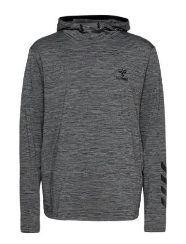 Hmlaston Hoodie Sport Sweatshirts & Hoodies Hoodies Grey Hummel