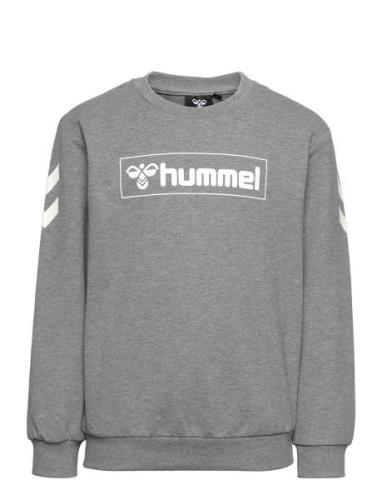 Hmlbox Sweatshirt Sport Sweatshirts & Hoodies Sweatshirts Grey Hummel