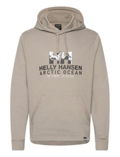 Arctic Ocean Hoodie Tops Sweatshirts & Hoodies Hoodies Beige Helly Han...