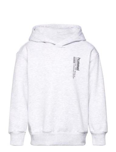 Hmldante Hoodie Sport Sweatshirts & Hoodies Hoodies Grey Hummel