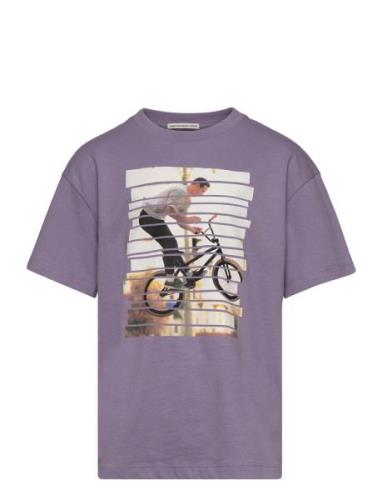 Over Printed T-Shirt Tops T-Kortærmet Skjorte Purple Tom Tailor