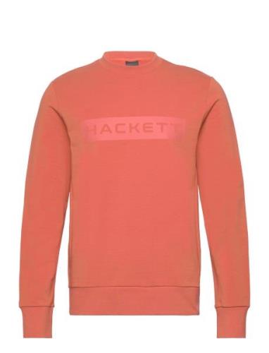 Essential Sp Crew Tops Sweatshirts & Hoodies Sweatshirts Orange Hacket...