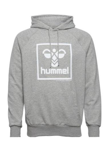 Hmlisam 2.0 Hoodie Sport Sweatshirts & Hoodies Hoodies Grey Hummel