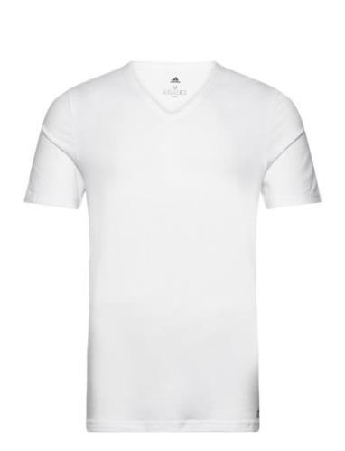 V-Neck Sport T-Kortærmet Skjorte White Adidas Underwear