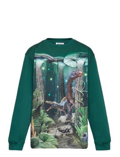 Rube Tops Sweatshirts & Hoodies Sweatshirts Multi/patterned Molo