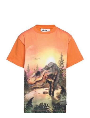 Riley Tops T-Kortærmet Skjorte Orange Molo