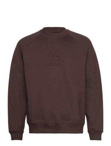 Dumbkin Designers Sweatshirts & Hoodies Sweatshirts Brown HUGO