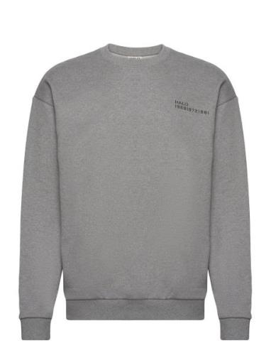 Halo Essential Crew Sport Sweatshirts & Hoodies Sweatshirts Grey HALO