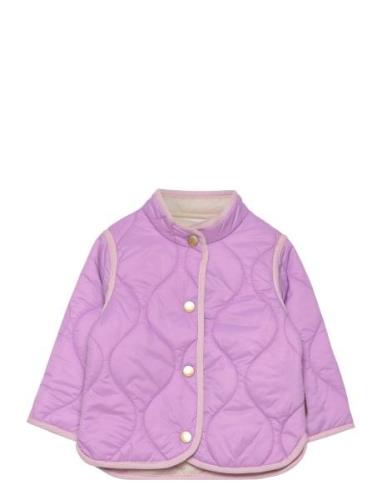 Harrie Outerwear Jackets & Coats Quilted Jackets Purple Molo