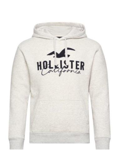 Hco. Guys Sweatshirts Tops Sweatshirts & Hoodies Hoodies Grey Holliste...