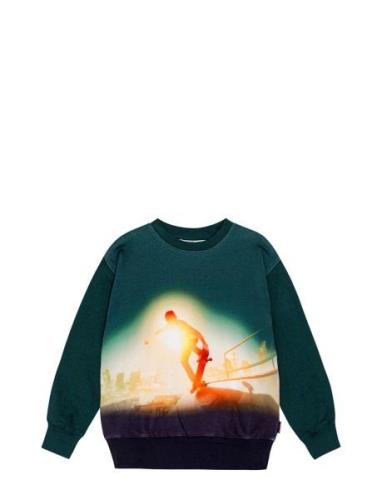 Mattis Tops Sweatshirts & Hoodies Sweatshirts Green Molo