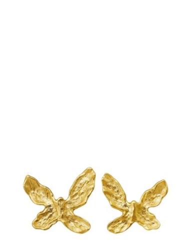 Lavender Earrings Accessories Jewellery Earrings Studs Gold Maanesten