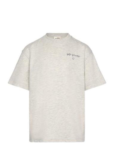 T-Shirt Tops T-Kortærmet Skjorte Grey Sofie Schnoor Young