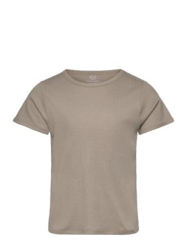 Rib Jersey T-Shirt Tops T-Kortærmet Skjorte Grey Copenhagen Colors