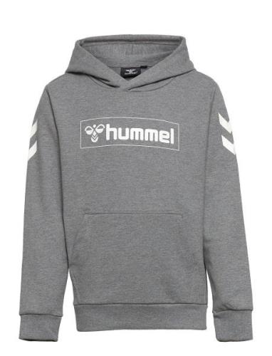 Hmlbox Hoodie Sport Sweatshirts & Hoodies Hoodies Grey Hummel