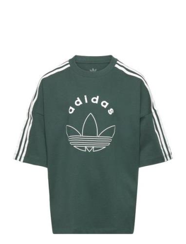Tee Tops T-Kortærmet Skjorte Green Adidas Originals