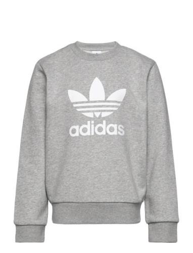 Trefoil Crew Tops Sweatshirts & Hoodies Sweatshirts Grey Adidas Origin...