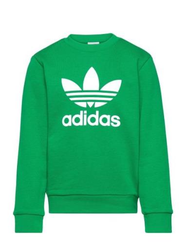 Trefoil Crew Tops Sweatshirts & Hoodies Sweatshirts Green Adidas Origi...