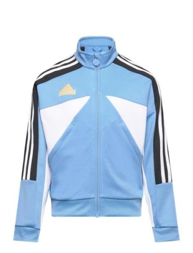 J Np Ttop Tops Sweatshirts & Hoodies Sweatshirts Blue Adidas Sportswea...