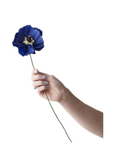 Paper Flower Home Decoration Paper Flowers Blue Studio About