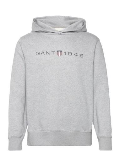 Printed Graphic Hoodie Tops Sweatshirts & Hoodies Hoodies Grey GANT