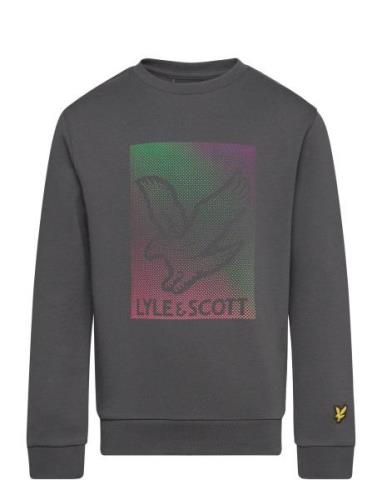 Dotted Eagle Graphic Sweatshirt Tops Sweatshirts & Hoodies Sweatshirts...