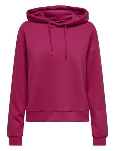 Onplounge Ls Hood Sweat - Noos Sport Sweatshirts & Hoodies Hoodies Pin...