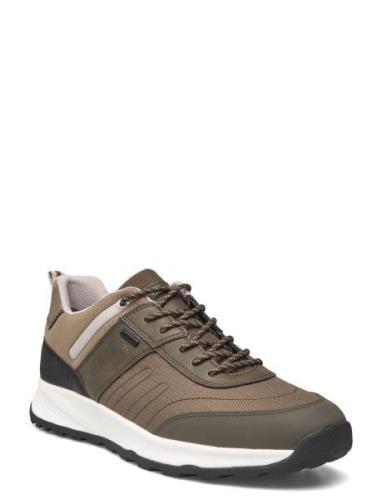 U Terrestre B Abx A Low-top Sneakers Khaki Green GEOX