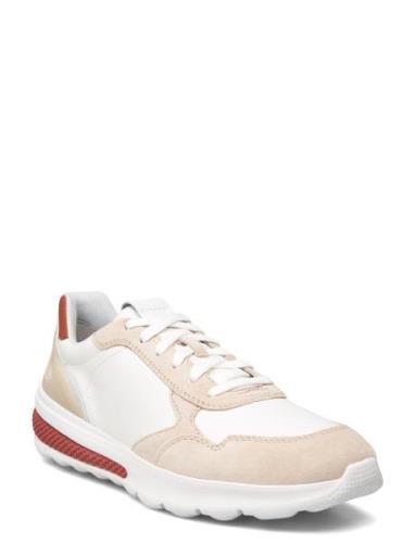 U Spherica Actif A Low-top Sneakers White GEOX