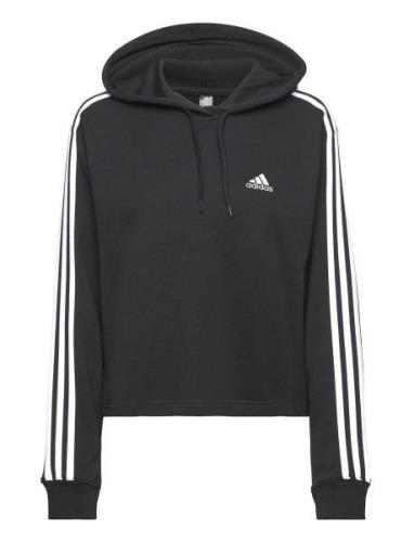 W 3S Ft Cr Hd Sport Sweatshirts & Hoodies Hoodies Black Adidas Sportsw...