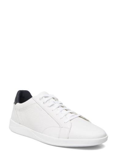 U Kennet A Low-top Sneakers White GEOX