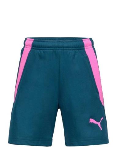 Teamliga Training Shorts 2 Jr  Sport Shorts Sport Shorts Blue PUMA