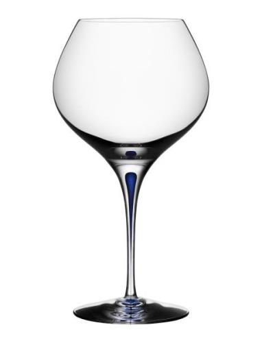 Intermezzo Blue Bouquet 70Cl  Home Tableware Glass Wine Glass Red Wine...