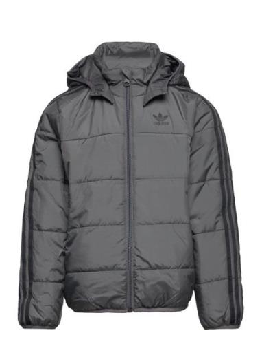 Padded Jacket Sport Jackets & Coats Puffer & Padded Grey Adidas Origin...