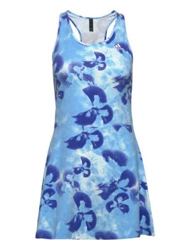 W Aop Dress Sport Short Dress Blue Adidas Sportswear