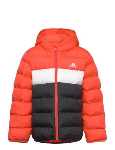 J Sd Jkt Outerwear Jackets & Coats Winter Jackets Orange Adidas Sports...