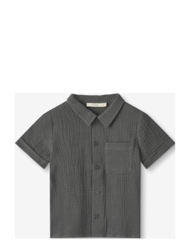 Paco Ss Shirt Tops Shirts Short-sleeved Shirts Grey Fliink