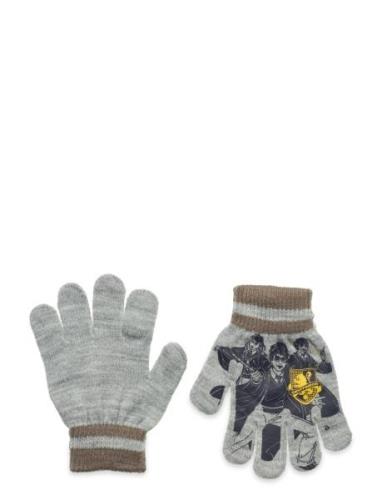 Gants Accessories Gloves & Mittens Gloves Grey Harry Potter