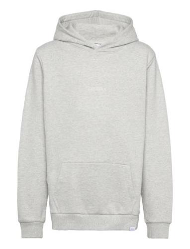 Dexter Hoodie Kids Tops Sweatshirts & Hoodies Hoodies Grey Les Deux