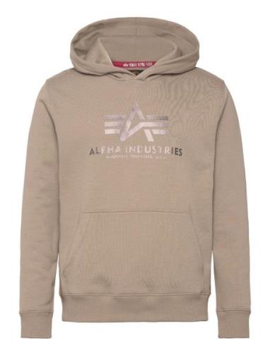 Basic Hoody Carbon Tops Sweatshirts & Hoodies Hoodies Beige Alpha Indu...