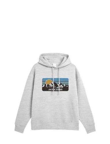 Jjpeak Sweat Hood Ln Tops Sweatshirts & Hoodies Hoodies Grey Jack & J ...