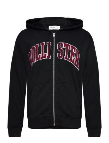 Hco. Guys Sweatshirts Tops Sweatshirts & Hoodies Hoodies Black Hollist...