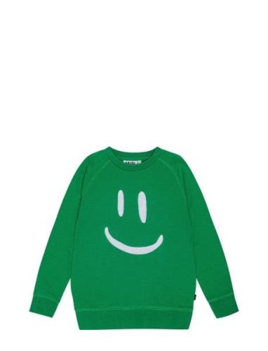 Mike Tops Sweatshirts & Hoodies Sweatshirts Green Molo